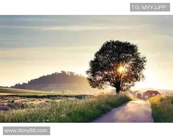 深度对话：周静如何在足球世界中追寻梦想与成长的旅程