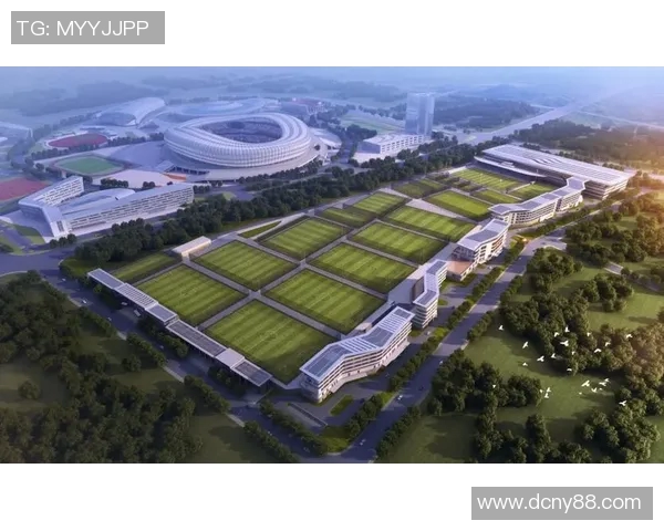 重庆足球队的速度之美：从青训到职业联赛的全景分析与展望