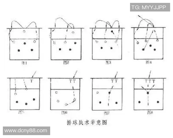 西安排球队的排球进攻战术解析与实战应用探讨 西安排球队的排球进攻战术解析与实战应用探讨